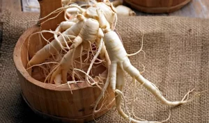 Ginseng Can Be Effectively Used to Treat Erectile Dysfunction.