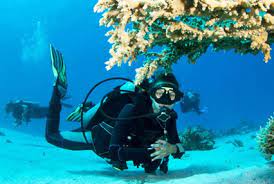 Andaman luxury tour packages