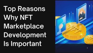 Top Reasons Why NFT Marketplace Development Is Important