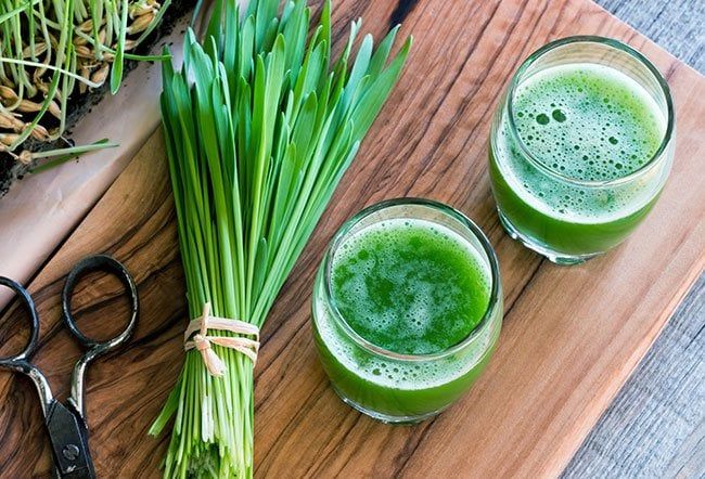 What Is Wheatgrass